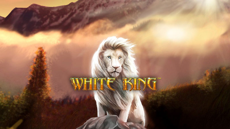 White King slot machine (Playtech): grafica di gioco, gameplay e come funzionano i Freespins (cover)